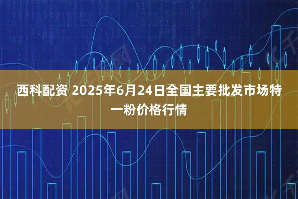 西科配资 2025年6月24日全国主要批发市场特一粉价格行情